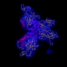 p65(RelA) Translocation Assay Kit (Part No. p65-Trans) p65(RelA) Translocation Assay Kit (Part No. p65-Trans)